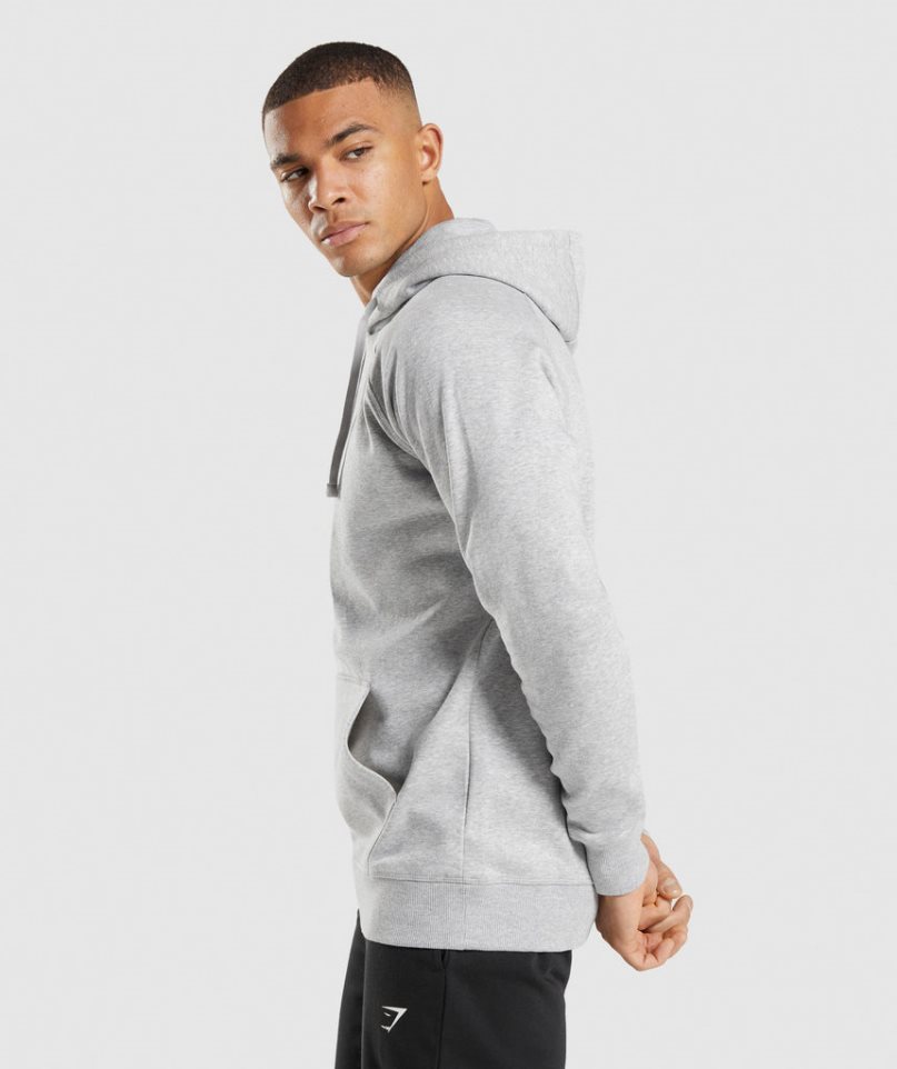 Bluzy Z Kapturem Gymshark Crest Męskie Głęboka Szare | PL 170ANI